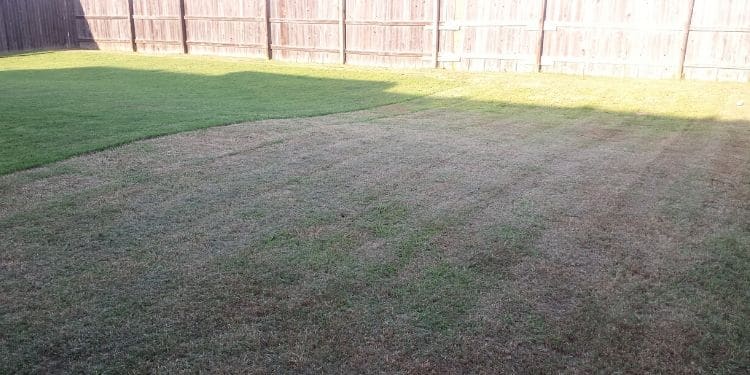 A large fenced in back yard that has been recently serviced by Sprague's Kik'N Grass.