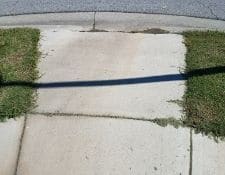 Grass border along side walk with grassing covering the edge of the sidewalk.