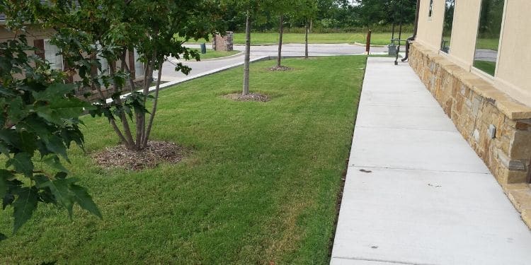 A small commercial plot of land. The grass has been mowed, the sidewalk has been edged and the trees have been pruned.