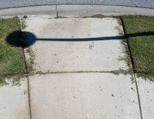 Grass border along side walk with the grassing covering the edge recently edged but not cleaned off yet.