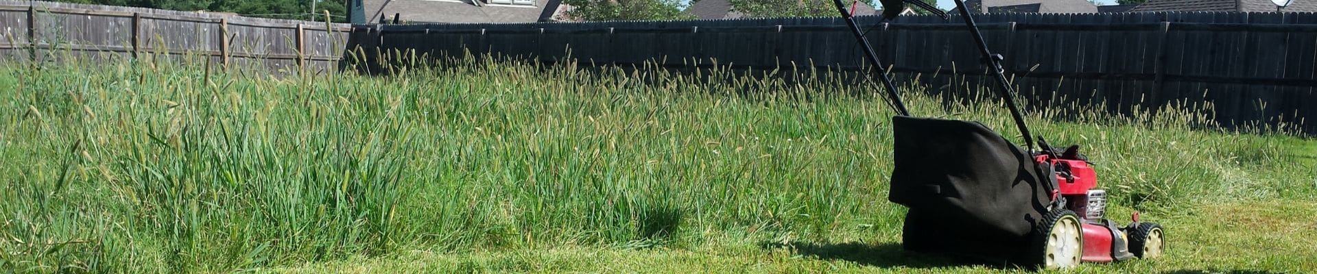 A very overgrown back yard with tall grass in the process of being mowed.