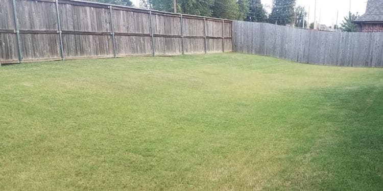 A very large fenced in back yard with green, evenly mowed grass.