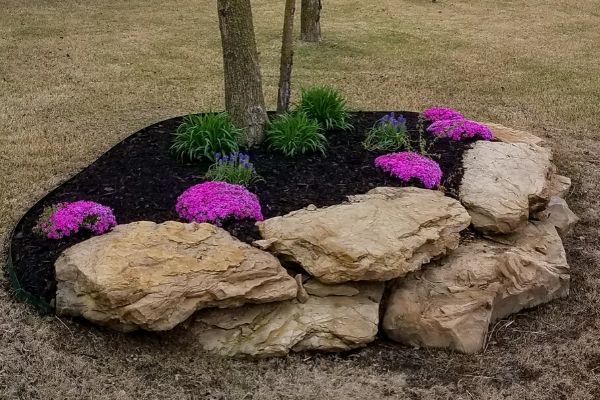 Landscaping around a tree in a yard with pretty pink flowers.