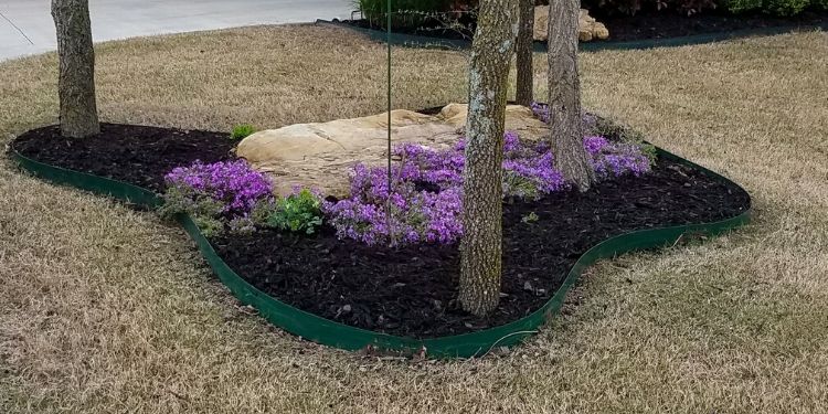 Perfectly trimmed grass around a flower bed in the middle of the yard