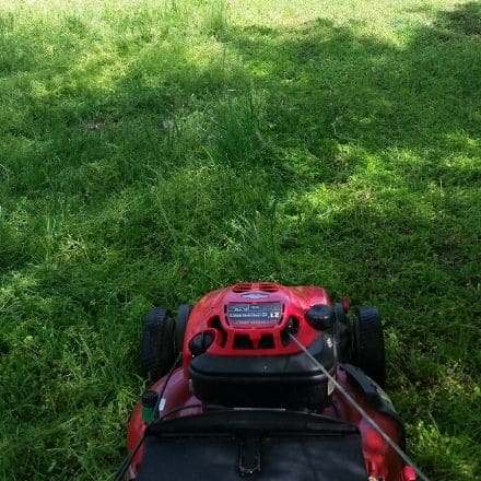 A push mower being pushed through unruly grass.