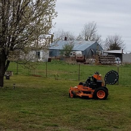 Commercial lawn mower in a large back yard.