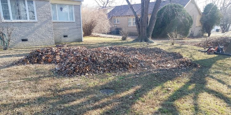 A very large pile of leaves ready to be hauled away.