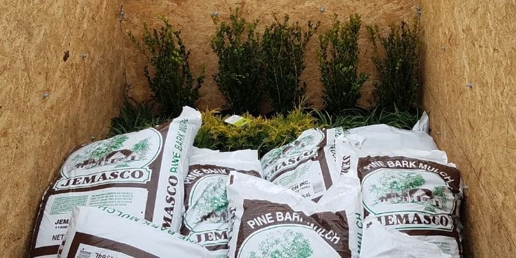 A pine box containing small plants and multiple bags of mulch.