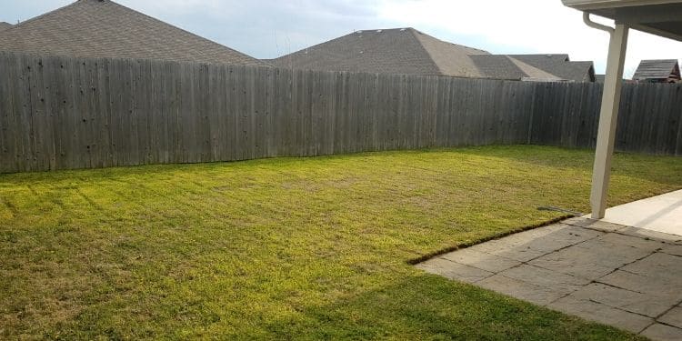 A backyard and patio. The grass has been mowed and is free of debris. The patio has been edged.