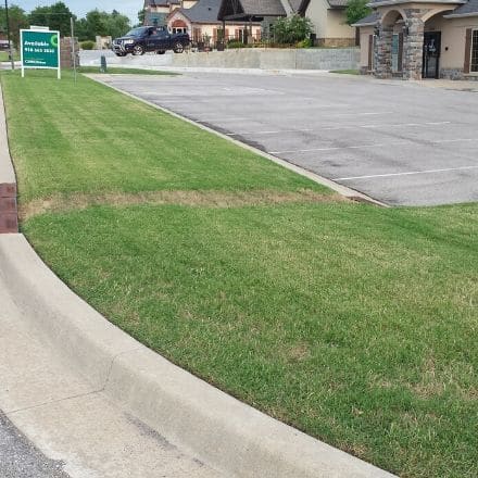 A commercial parking lot outlined with neatly mowed grass.