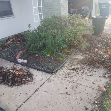A flower bed in the process of being cleaned up. Debris is piled up on the sidewalk surrounding the mulch bed. 