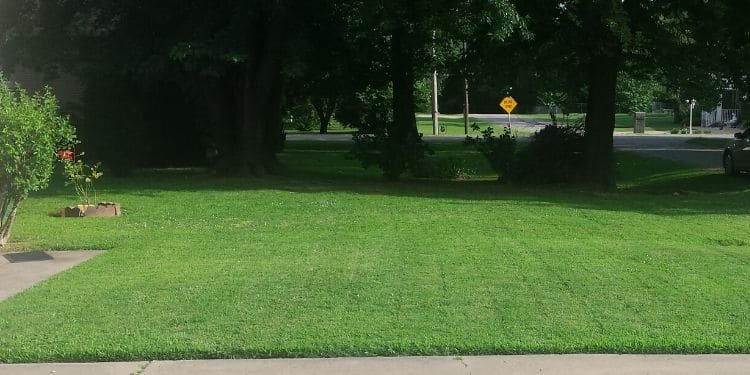 A large lawn that has been mowed by Sprague's Kik'N Grass. The grass is very green and all debris and clippings have been removed.
