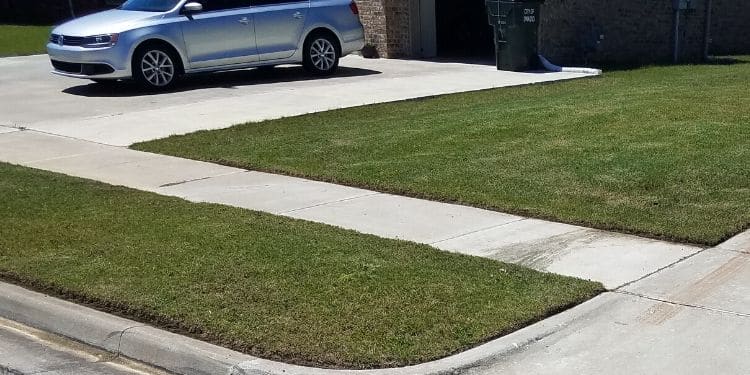 A portion of a lawn surrounded by a sidewalk and a driveway. The grass has been mowed and the sidewalk and driveway have been edged. 